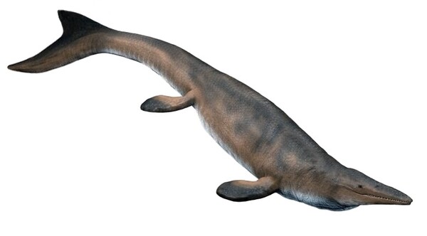 Tenhle dinosaurus žil ve vodách, byl dravý a dosahoval délky kolem 17,6 metru. Jak se jmenuje?