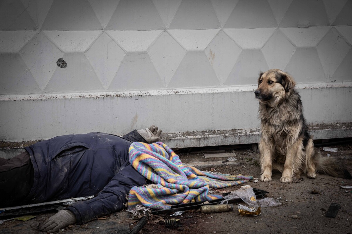 Aktualita – Vojtěch Dárvík Máca, volný fotograf / Masakr v Irpini a Buči.