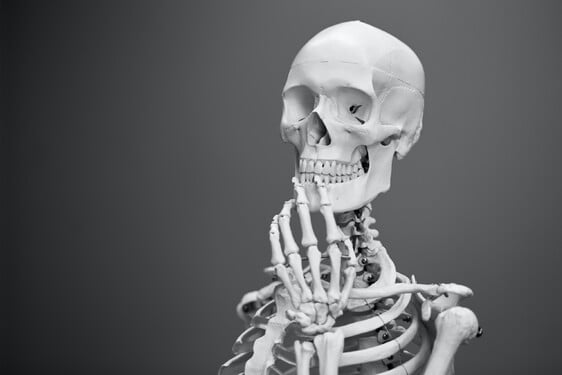 Vrátíme se k úplným základům. Kolik kostí má průměrný člověk?