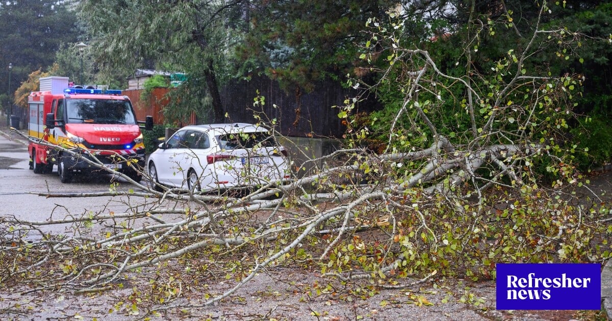 SHMÚ varuje pred silným vetrom. Môže dosiahnuť rýchlosť až 85 km/h ...