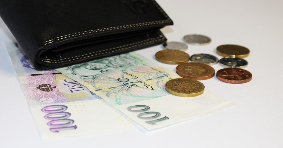 Téměř polovina Čechů a Češek obtížně vychází s příjmy