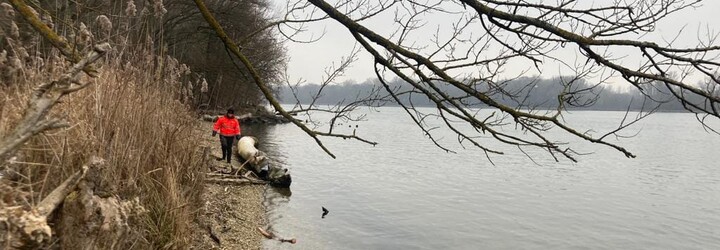 Rozhovor s dobrovoľnými záchranármi, ktorí pátrali po Terézii: „Musíme zachraňovať životy predtým, ako je neskoro.“