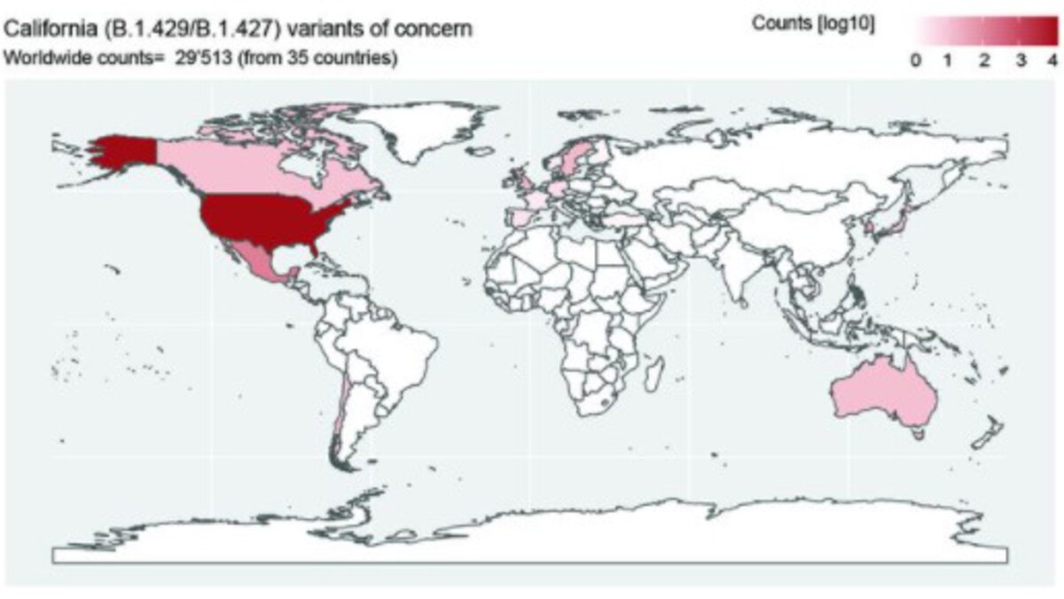 Mapa kalifornského variantu koronavírusu.
