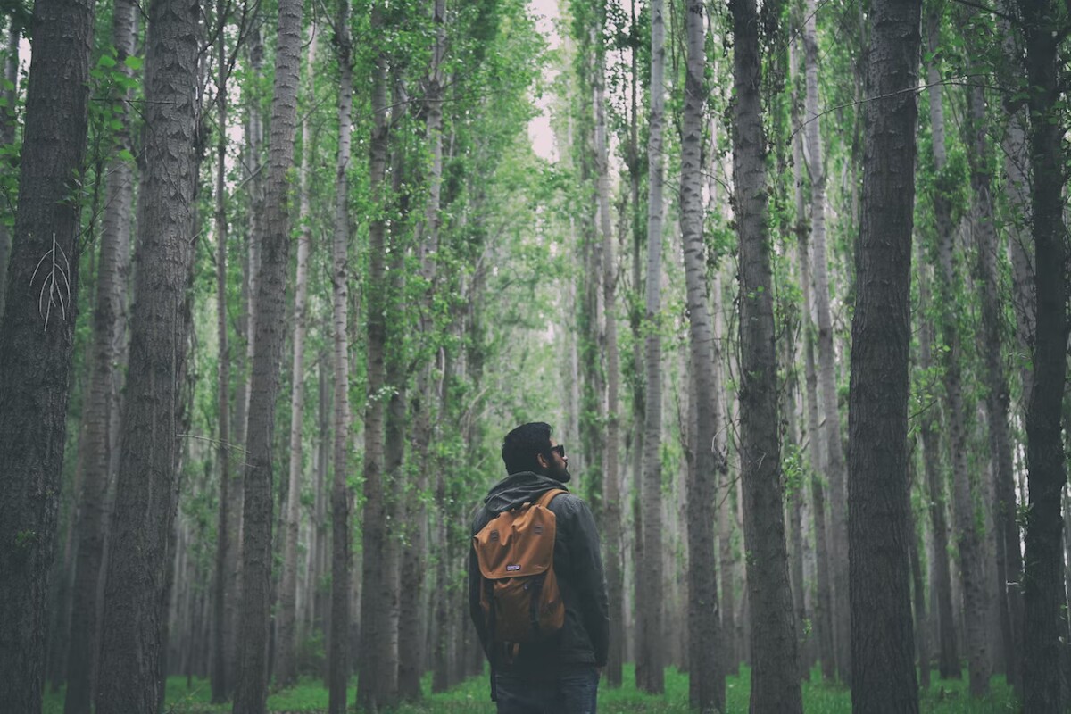 Závislosť od sociálnych sietí môžete nahradiť napríklad aj prechádzkou v lese.