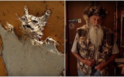 67-ročný pán zabil 1 500 divých mačiek. Tvrdí, že pomáha prírode