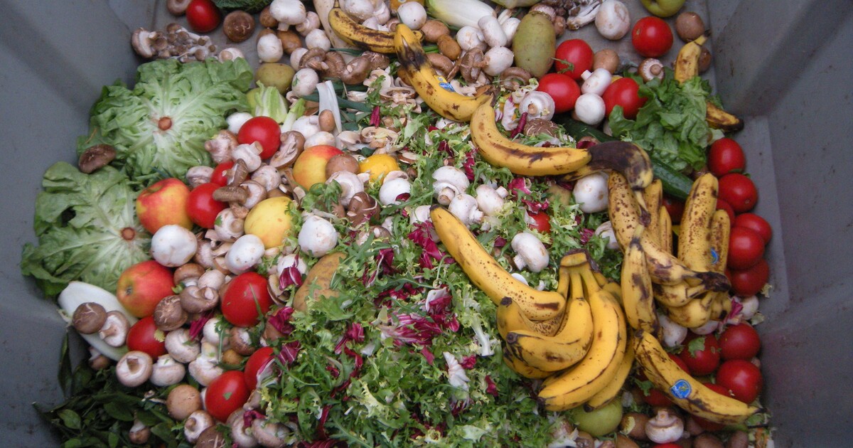 Češi a Češky vyhazují obrovské množství jídla. Kolik peněz ušetříš, když nebudeš plýtvat?