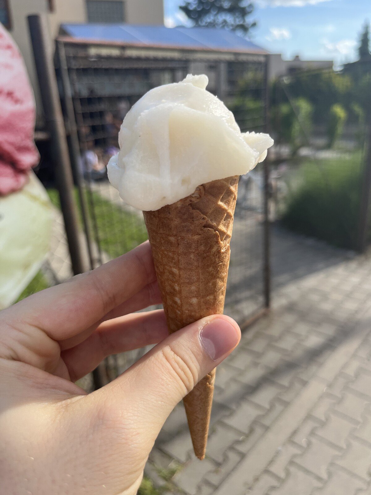 Zmrzlina gelato brno 