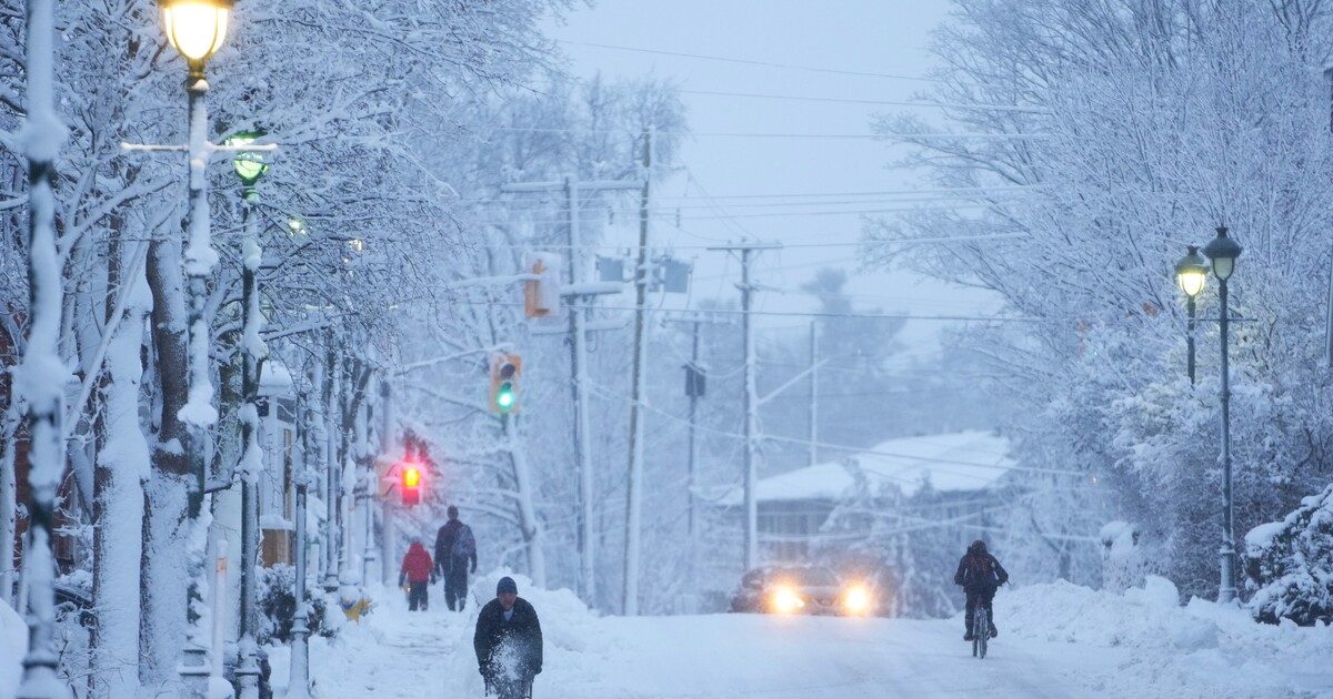 Nadcházející zima může přinést silné mrazy a sníh: první předpověď naznačuje extrémy