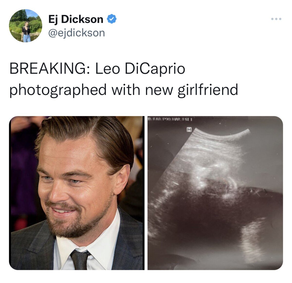 leonardo dicaprio 