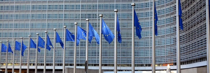 EÚ zakazuje krivé uhorky a zabíjačky, za všetko môže Brusel. TOP 5 mýtov o Európskej únii