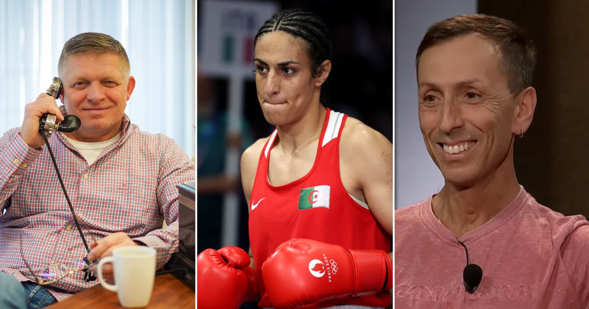 Co znamená submisivní, proč má Plzeň ve znaku velblouda nebo kde je Chlopčík? Co Češi letos nejvíc googlili?