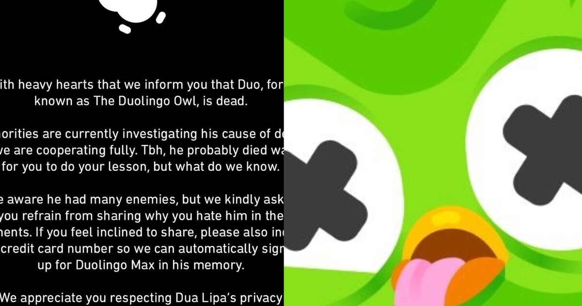 Sova z Duolinga zemřela: Úřady vyšetřují příčinu smrti, uvedli tvůrci aplikace