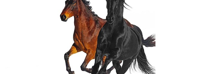 Country trap – kontroverzná senzácia, ktorej sa podarilo preraziť spod undergroundu