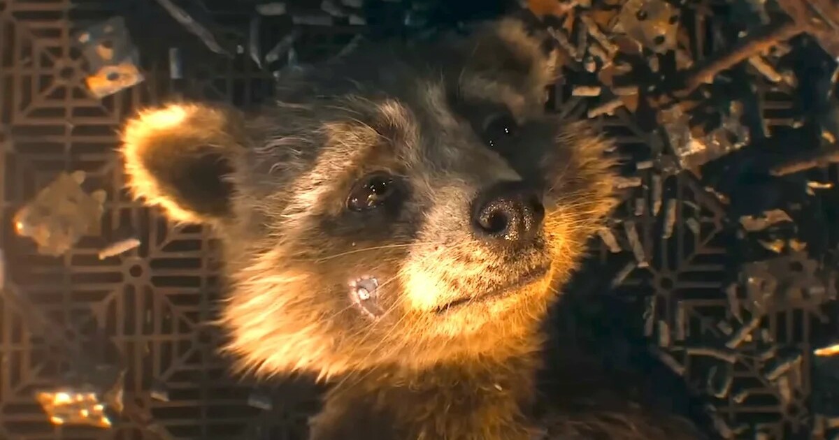 Režisér chválené marvelovky se stal osobností roku podle PETA. Všechny nadchla jeho láska ke zvířatům