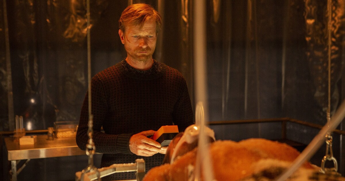 Hádek: Sex symbol z TikToku? Tak jsem se nikdy necejtil, trpěl jsem, že jsem zrzavej a zarudlej