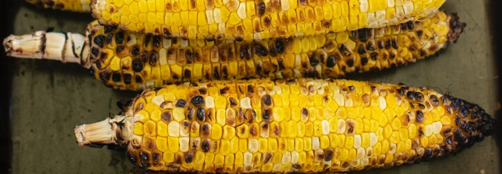 Píseň It's Corn ovládla sociální sítě. Podívej se na výběr nejlepších videí