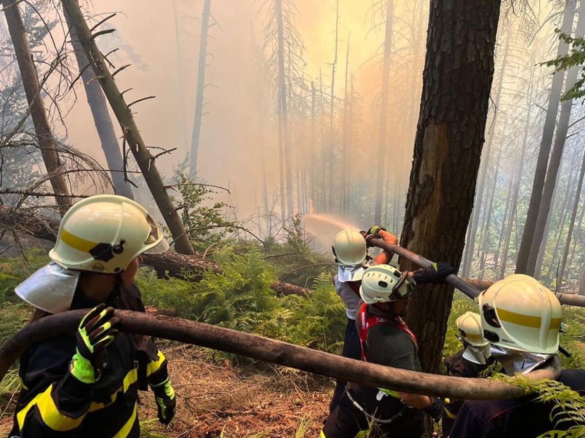 požár české švýcarsko les hasiči oheň
