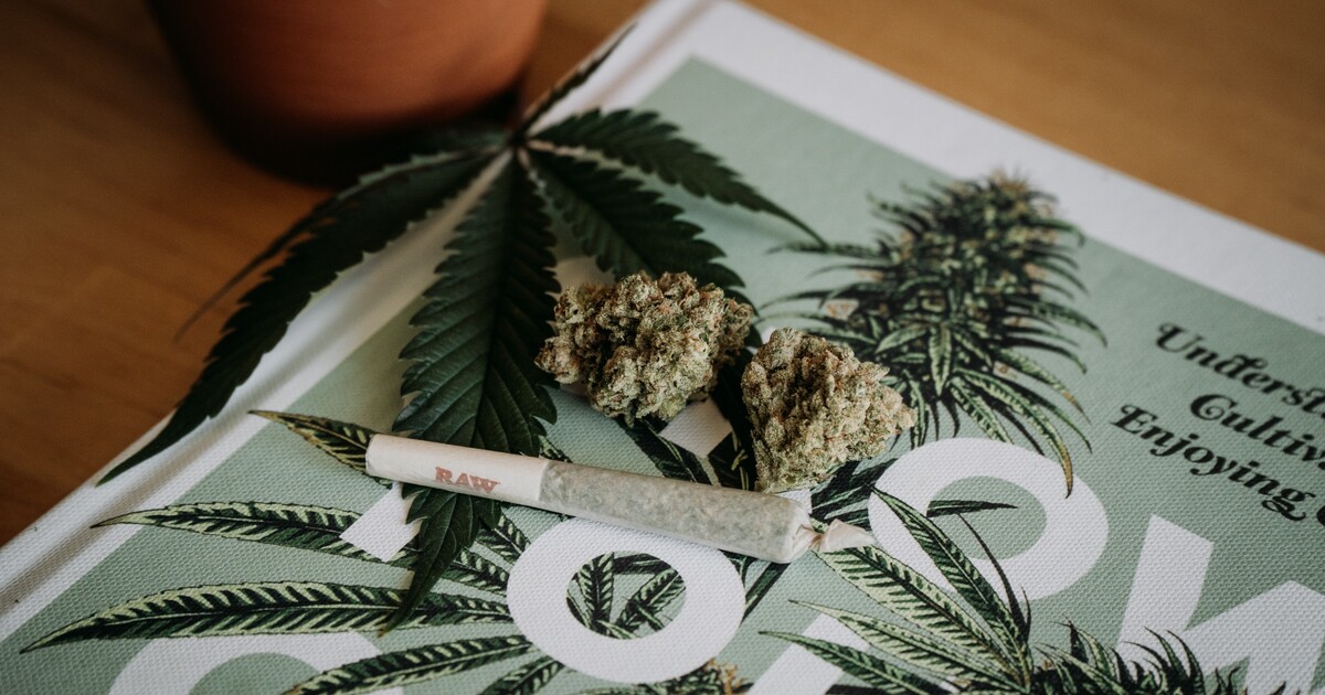 Konopí si možná budeš moct koupit legálně. O kolik gramů denně se jedná?