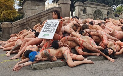 70 nahých aktivistov protestovalo proti zabíjaniu zvierat. Odevný priemysel si v EÚ vyžiada ročne 32 miliónov obetí, tvrdia