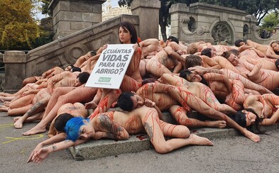 70 nahých aktivistů protestovalo proti zabíjení zvířat. Oděvní průmysl si v EU vyžádá ročně 32 milionů obětí, tvrdí 70 nahých aktivistů protestovalo proti zabíjení zvířat. Oděvní průmysl si v EU vyžádá ročně 32 milionů obětí, tvrdí