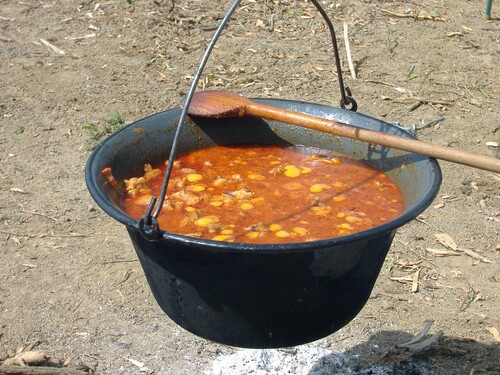 Vitana vznikla po druhé světové válce, když se sloučily soupeřící firmy Maggi a Graf ze středních Čech. Které příchutě sáčkových polévek vydala na československém trhu poprvé?