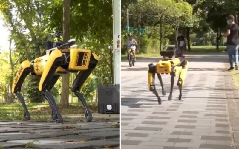 Singapurský park kontroluje robotický pes, ľudí upozorňuje na dodržiavanie rozostupov.