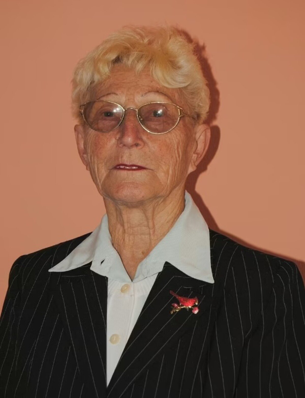 sylva knedlová