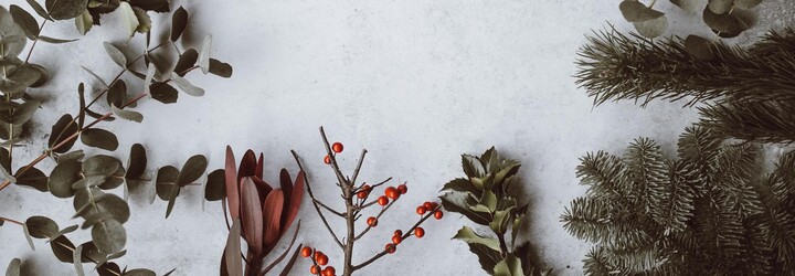 Připravili jsme kompletní veganské štědrovečerní menu. Podle těchto receptů to zvládneš hravě i ty