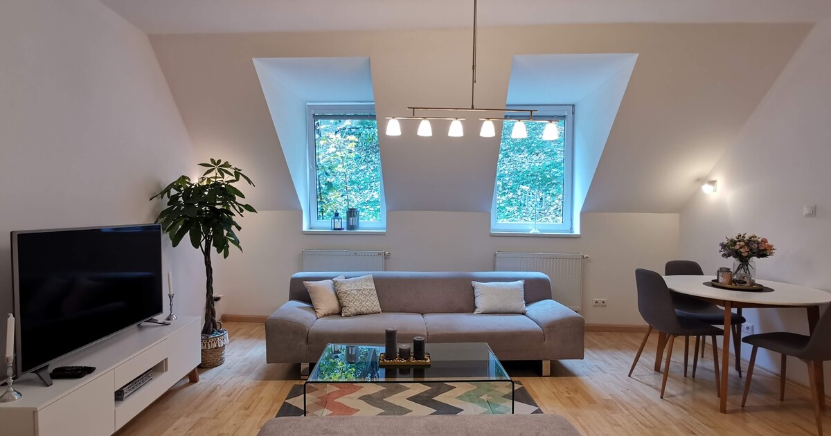 Lukáš s Adamem pronajímají byty přes Airbnb: Sexuální pracovnice jsou čistotné, byty vykrádají organizované skupiny