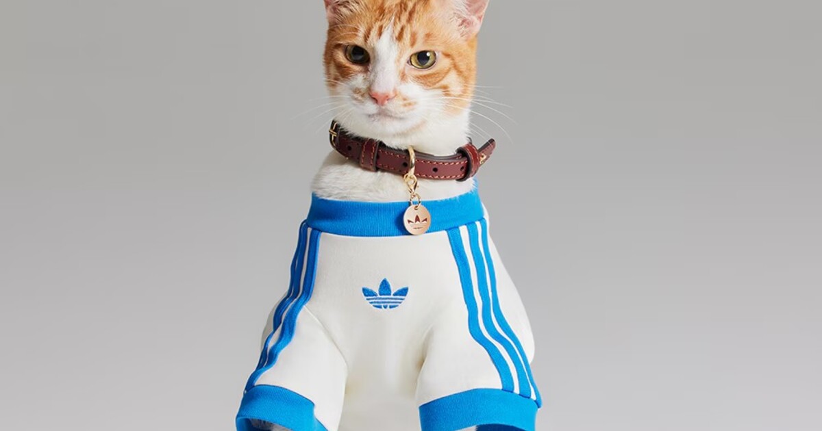 Adidas Originals představuje kolekci pro mazlíčky