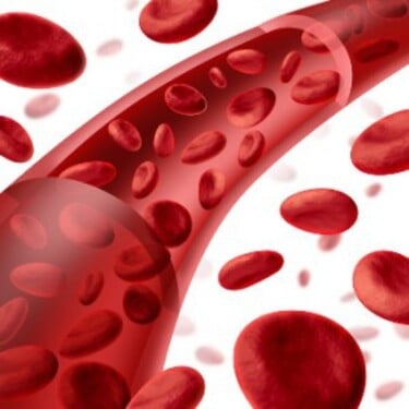 Ktorý proteín má najväčšie zastúpenie v krvnej plazme?