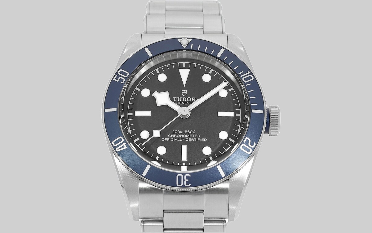 Tudor Black Bay