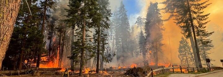 Yosemitský národní park je v plamenech, požár ohrožuje i obří sekvoje