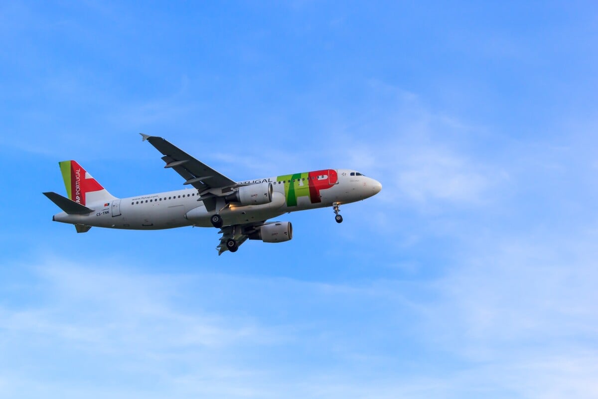 TAP Portugal povoľujú domáce zvieratá na palube svojich lietadiel. 