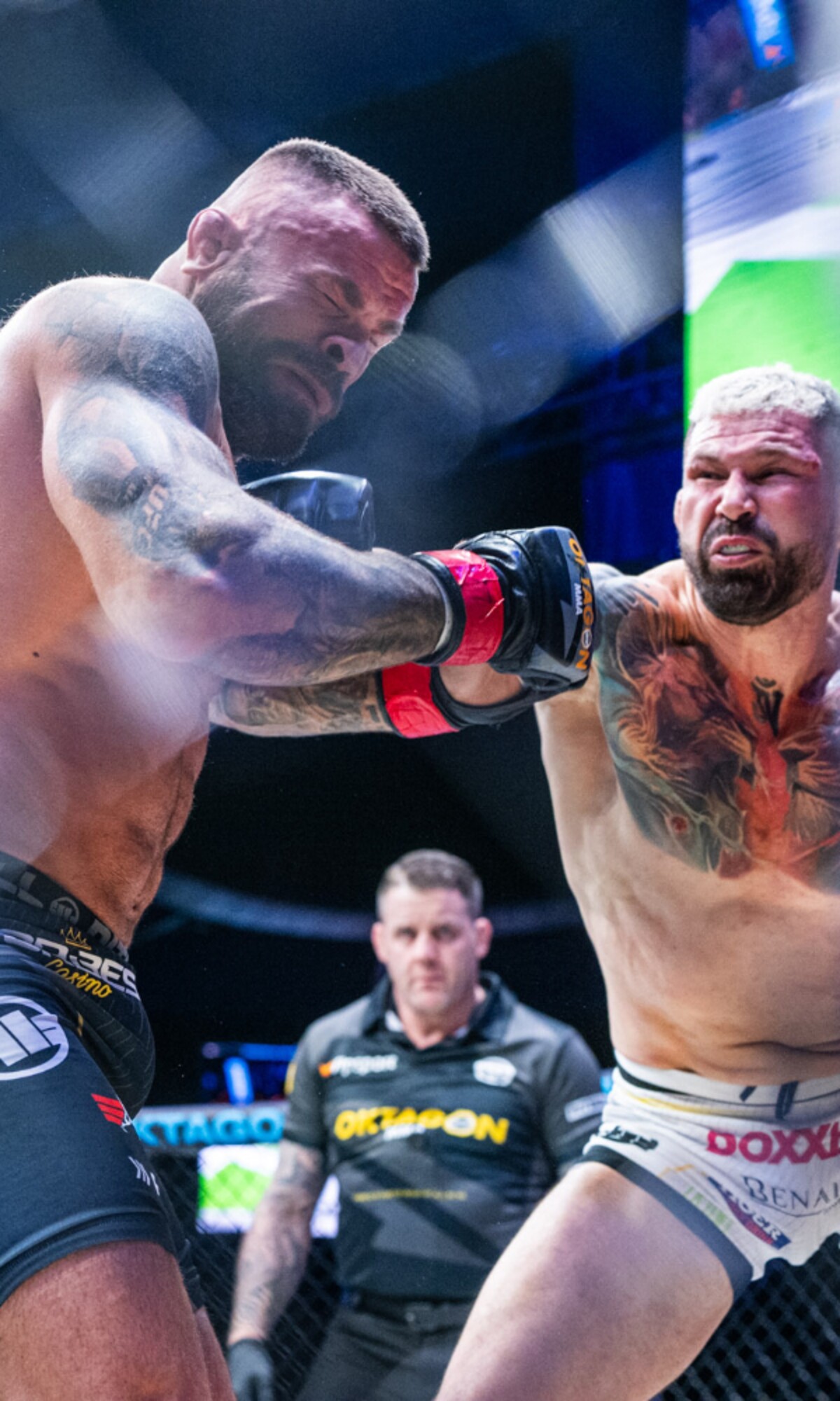 V prvním vzájemném zápase v roce 2019 zvítězil Attila Végh, který Vémolu knockoutoval za dvě minuty. V odvetě v létě letošního roku pak zvítězil Vémola, který Végha uškrtil na ve druhém kole. O třetí zápas projevili zájem oba v posledních dnech na sociálních sítích.