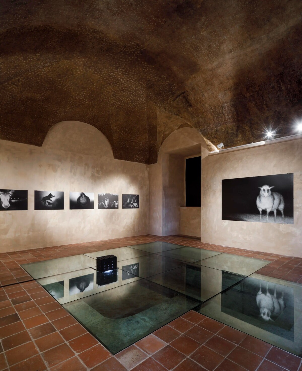 Kateřina Simerová: V temnotách