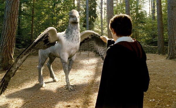 Hagrid v tretej časti ukazuje študentom hipogryfa. Čo sa v tejto scéne nestane?