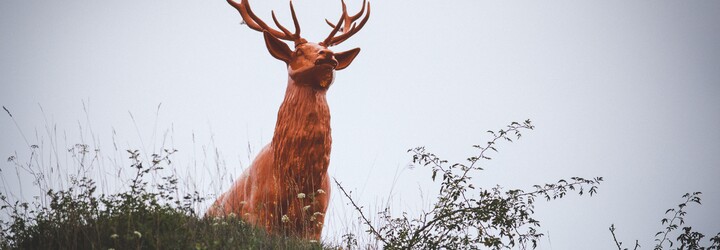 Jägermeister oslavuje 3 miliony prodaných lahví v Česku a na Slovensku