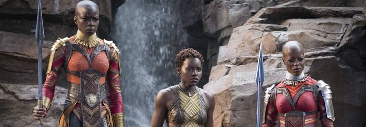 Marvel oficiálne potvrdil prípravy pre Black Panthera 2. Kedy dorazí pokračovanie úspešnej komiksovky do kín?