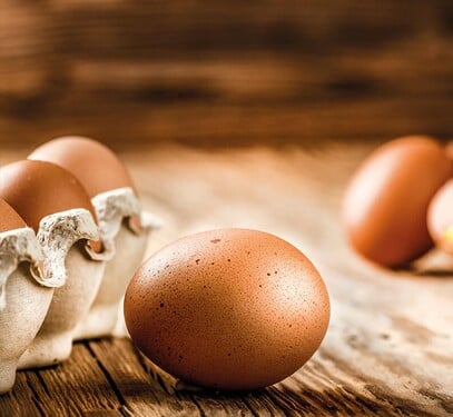 Je nasledujúce tvrdenie pravdivé? Raňajkové menu tvoria vajíčka od slovenského dodávateľa z Veľkého Krtíša – farma Babičkin dvor.