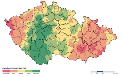 Český hydrometeorologický ústav vydal mapu pravděpodobnosti růstu hub. Podívej se, kde jich bude nejvíc.