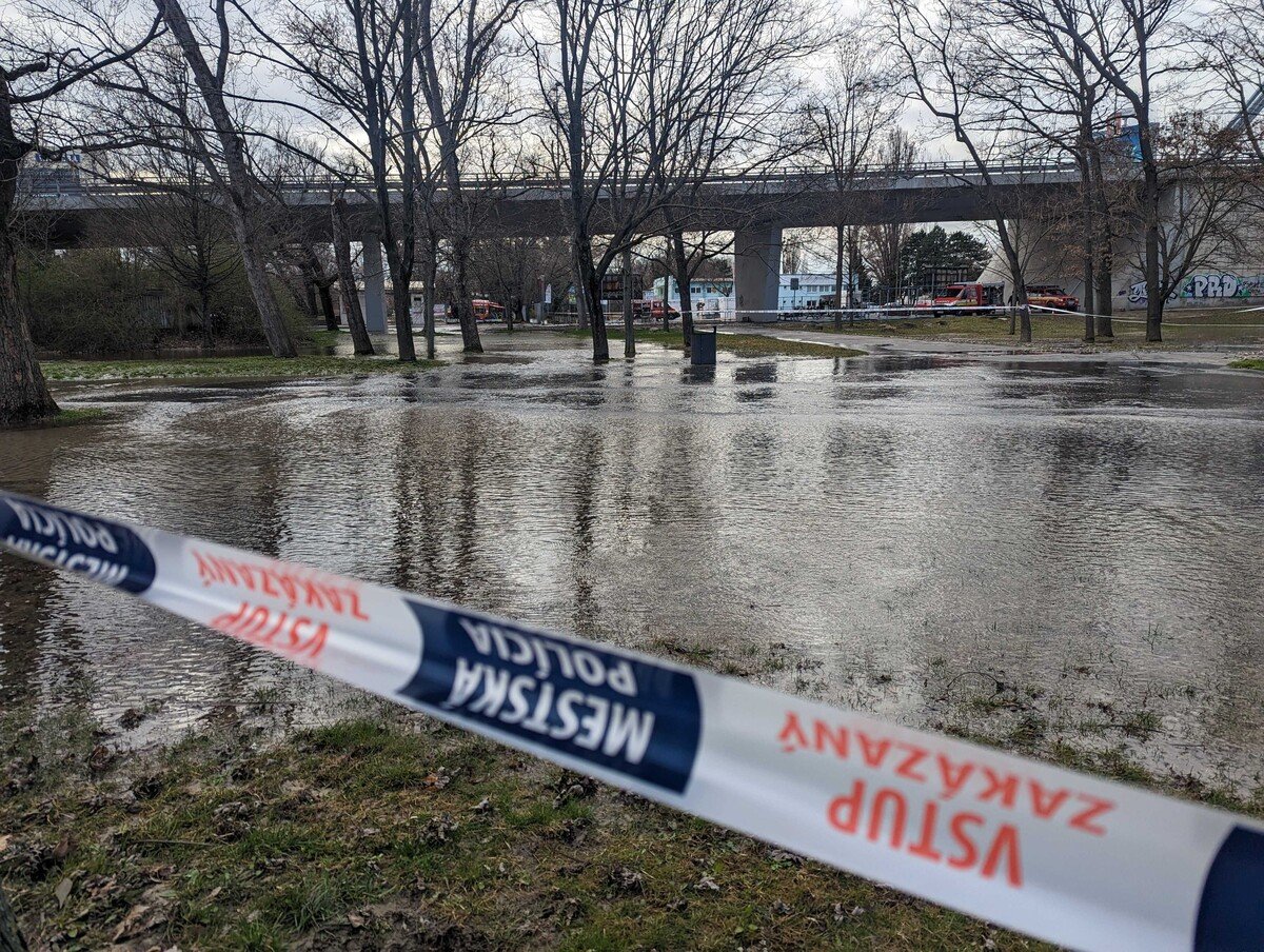 sad janka kráľa