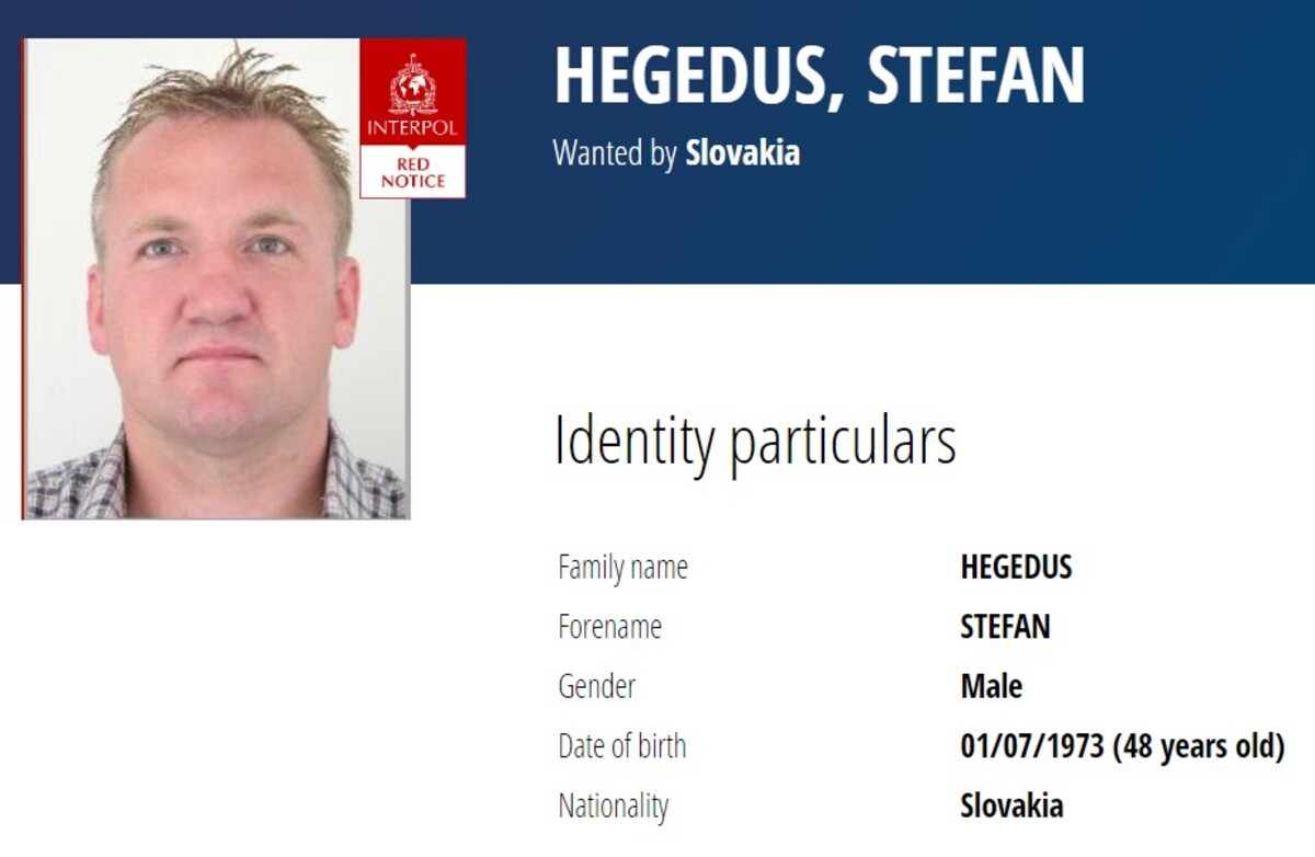 Štefan Hegeduš