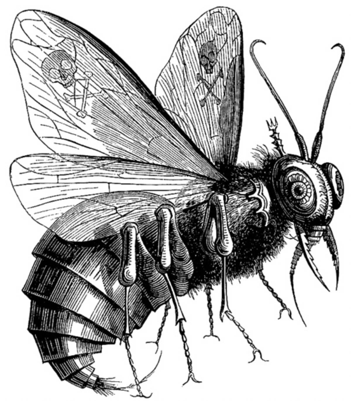 Belzebub z knihy Dictionnaire Infernal od Collina de Plancyho