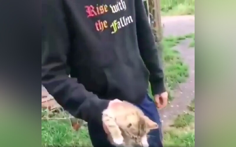 Mladík z Pardubicka hodil kotětem. Kamarádi si jej natáčeli a smáli se.