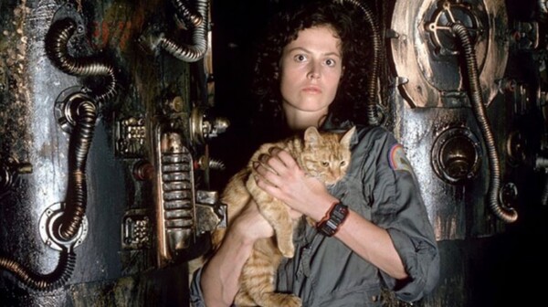 Tenhle mazlíček patří hlavní hrdince&nbsp;vetřelčí&nbsp;série Ellen Ripley. Jaké je jeho jméno? 