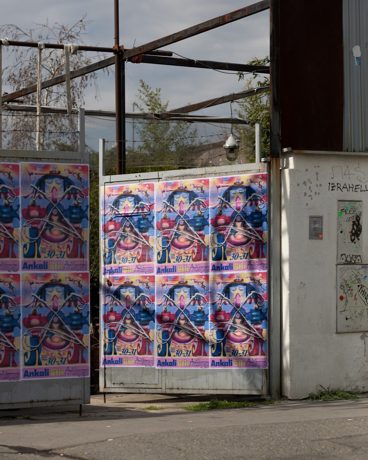 Ankali 8th Anniversary