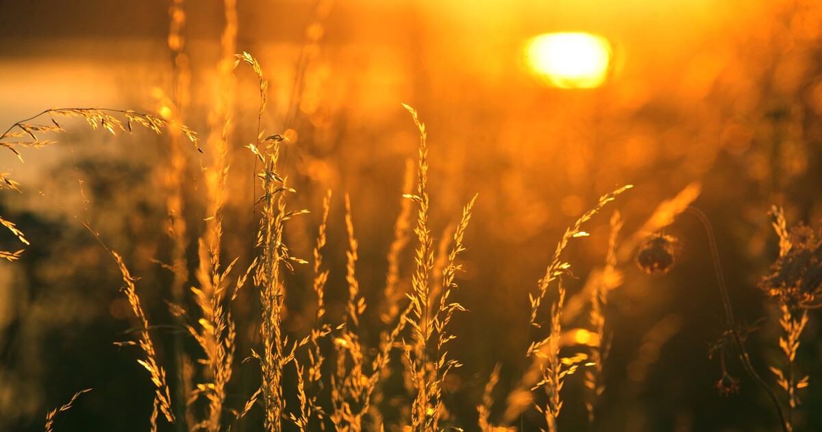 Předpověď počasí: Jak dlouho vydrží teplé a slunné dny? Podívej se, jak bude příští týden