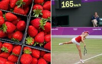 8 zaujímavostí o Wimbledone, ktorými ťa tento prestížny tenisový turnaj prekvapí
