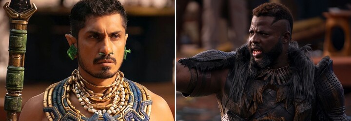 Kino v novembri: Návrat Black Panthera, hrôzostrašná vyvražďovačka v kuchyni či kanibal Timotheé Chalamet